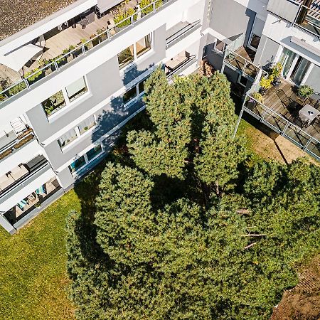 Ferienwohnungen Riese - Weitblick Arnsberg Eksteriør bilde
